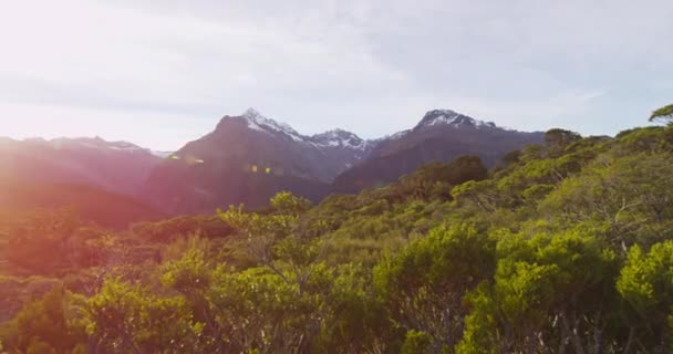 Sırt çantalı gezginler Yeni Zelanda 'daki Routeburn Pist Dağları' nda gün batımında yürüyüş yapıyorlar. — Stok video