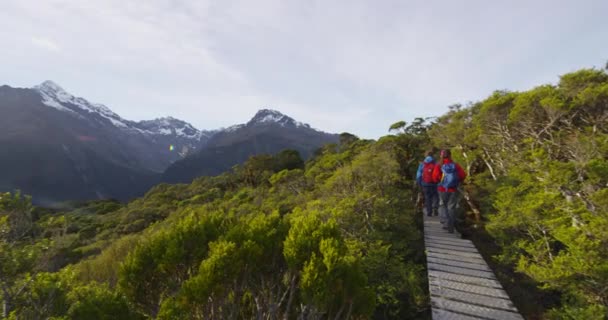 Backpacker trampeln auf Fußgängerbrücke durch Bäume und Berge am Routeburn Track — Stockvideo