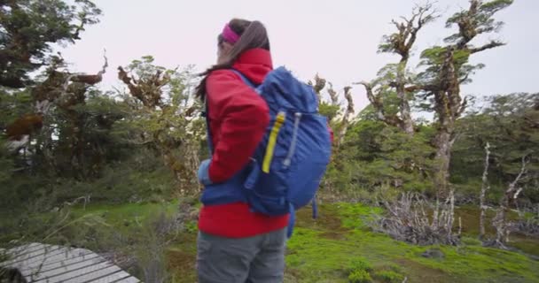 Tramping Nueva Zelanda - Pareja de senderismo con mochilas en la pista Routeburn — Vídeo de stock