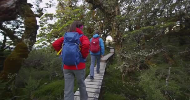 ニュージーランドの有名なルートバーントラックでのハイキングとトランプ — ストック動画