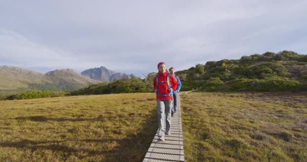 Couple de randonnée à pied sur l'aventure en Nouvelle-Zélande sur la célèbre piste de Routeburn — Video