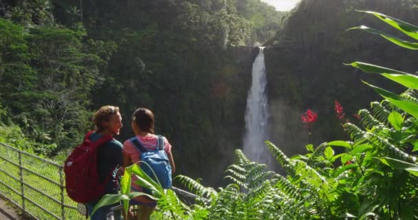 Hawaii Akaka Falls Touristen am hawaiianischen Wasserfall Akaka Falls auf Big Island — Stockvideo