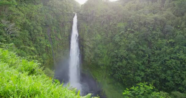 Wasserfall - Akaka fällt auf Hawaii Big Island, ein berühmter hawaiianischer Wasserfall — Stockvideo