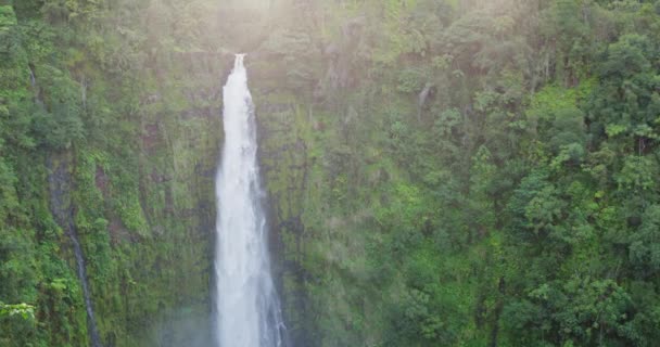 Hawaii Akaka Falls cachoeira havaiana em Big Island EUA — Vídeo de Stock