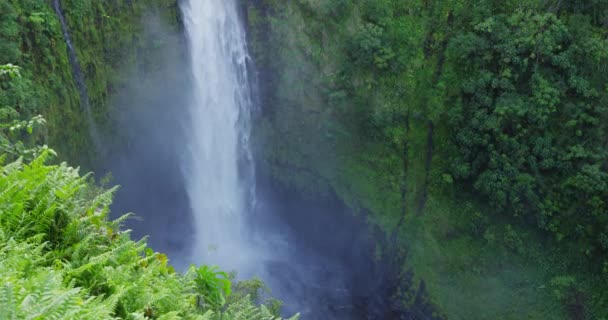 Wasserfall - Akaka fällt auf Hawaii Big Island, ein berühmter hawaiianischer Wasserfall — Stockvideo