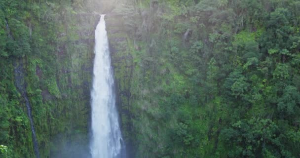 Hawaii Akaka Şelalesi - Hawaii Şelalesi Büyük Ada ABD 'de — Stok video