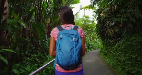 Hawaï reizen - Vrouw toeristisch wandelen in Akaka watervallen State Park Big Island Hawaii — Stockvideo