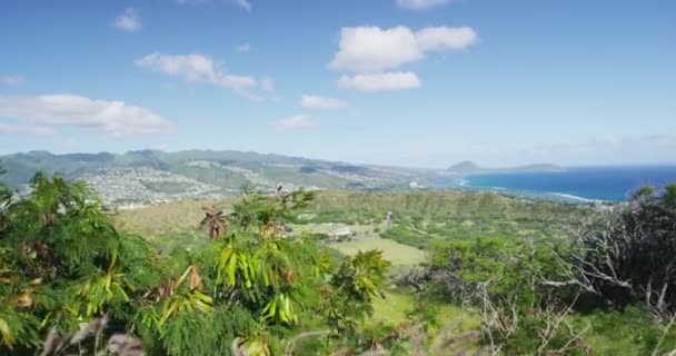 Idyllic Green Landscape At Diamond Head State Monument — Stock Video