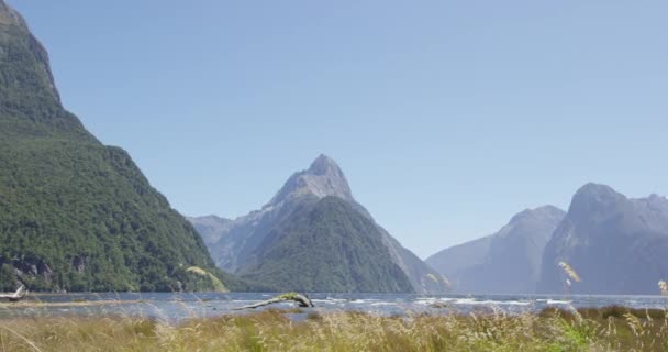 Milford Sound y Mitre Peak en el Parque Nacional Fiordland, Nueva Zelanda. — Vídeos de Stock