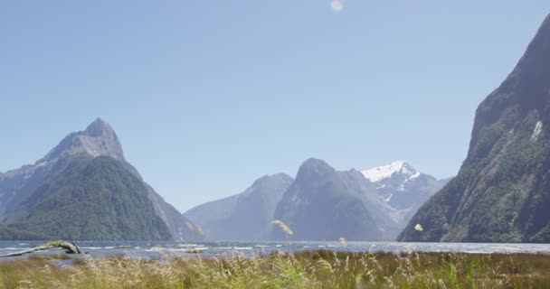 Die neuseeländische Naturlandschaft des Milford Sound in Fiordland zeigt den Mitre Peak — Stockvideo