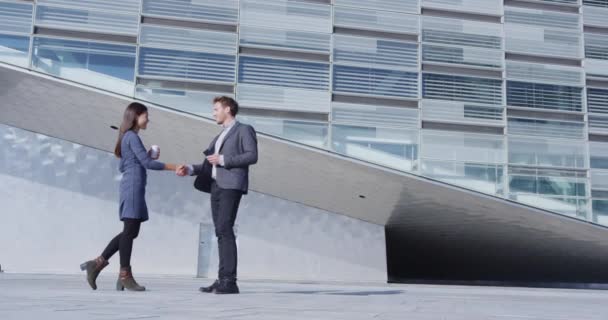 Business People Handshake - zakenmensen schudden handen, man en vrouw — Stockvideo