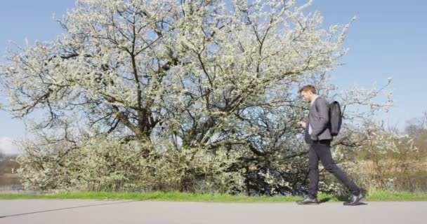 Ung urban professionell affärsman med hjälp av smart telefon promenader i stadsparken — Stockvideo