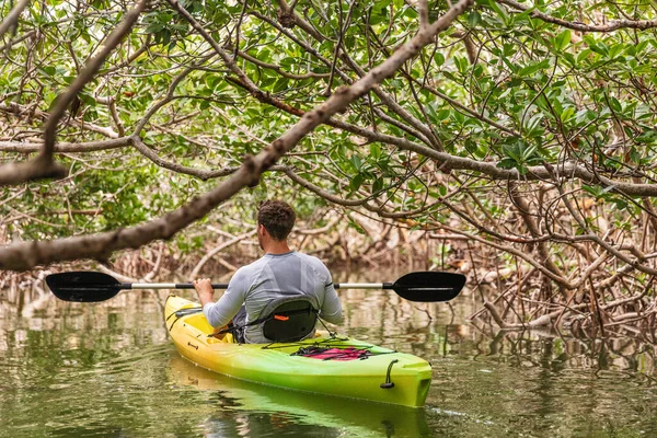 Kayak dans les tunnels de mangrove d'Islamorada dans les Keys, Floride, États-Unis — Photo