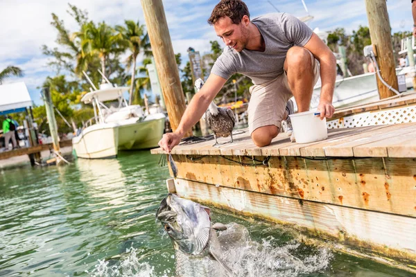 Tarpon vissen voeden in de sleutels, Florida, Zomer reizen lifestyle toerisme. Amerikaanse man heeft plezier op vrijetijdsbesteding in Islamorada, Verenigde Staten — Stockfoto