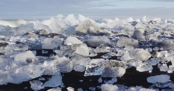 Исландский ледяной пляж Jokulsarlon Iceberg beach — стоковое видео