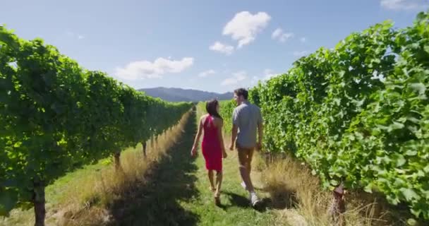 Viñedo pareja turistas Nueva Zelanda viajes visitando Marlborough región bodega — Vídeo de stock