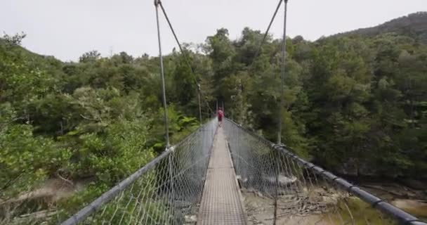 Caminante vagabundo en Nueva Zelanda Abel Tasman National Park — Vídeos de Stock