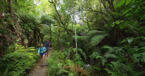 ニュージーランドの森の自然景観-ハイキングの人々は旅行休暇に踏んで — ストック動画