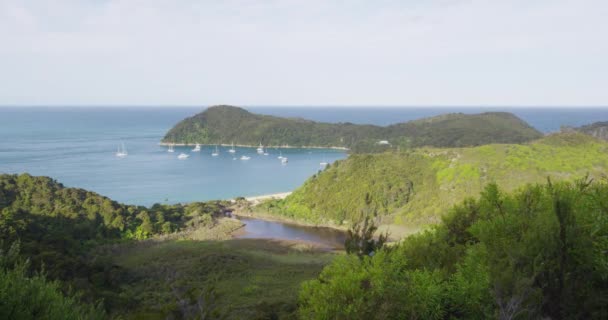 Nieuw-Zeeland Vakantie Strandbestemming Abel Tasman National Park — Stockvideo