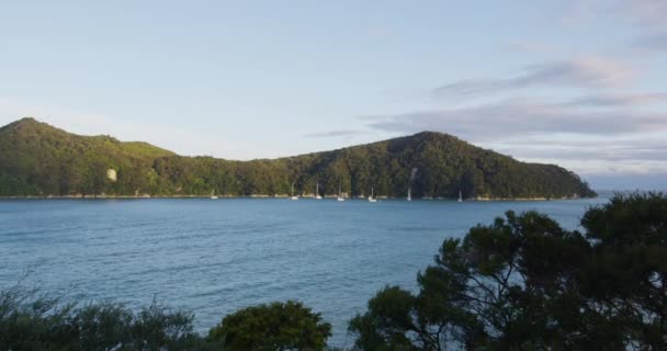 Park Narodowy Abel Tasman Nowa Zelandia Podróże wakacje Plaża Cel podróży — Wideo stockowe