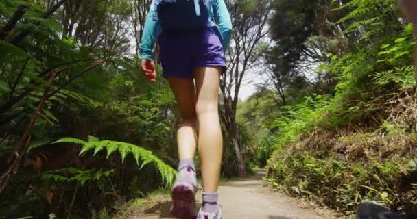 Senderismo gente pisoteando estilo de vida activo - Nueva Zelanda bosque naturaleza paisaje — Vídeo de stock