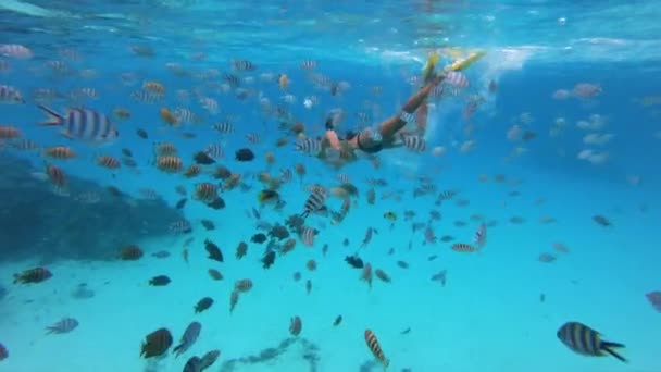 Bora Bora Snorkeling atividade desportiva aquática. Jovem mulher snorkeling em férias de viagem de aventura na Polinésia Francesa, Tahiti recife de coral lagoa. Bora Bora sinal escrito no fundo do oceano — Vídeo de Stock