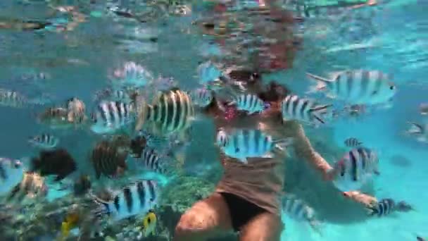 Snorkel atividade desportiva aquática. Jovem mulher snorkeling em viagem de aventura férias na Polinésia Francesa, Tahiti recife de coral lagoa no Oceano Pacífico — Vídeo de Stock