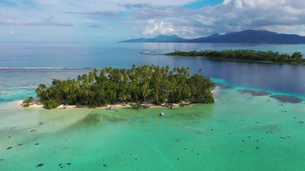 Letecké video z ráje na opuštěném ostrově. Cestovní dovolená ikona tropické pláže soukromý ostrov motu s palmami. Tyrkysová křišťálově čistá lagunová mořská voda na Bora Bora, Francouzská Polynésie — Stock video