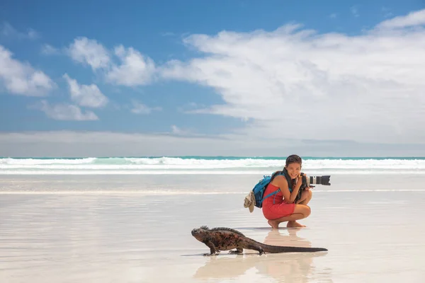 与Iguana一起在Galapagos海滩旅行探险自然摄影师 — 图库照片