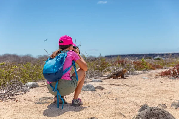 Galapagos tourist taking pictures of Land Iguana on North Seymour — Stock Photo, Image