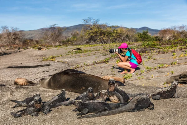 Vadvilág természetfotós turista Galapagos nézi Galapagos Sea Lion és tengeri iguánák fotózás Galapagos kaland utazás nyaralás, Puerto Egas - Egas kikötő Santiago sziget Ecuador — Stock Fotó