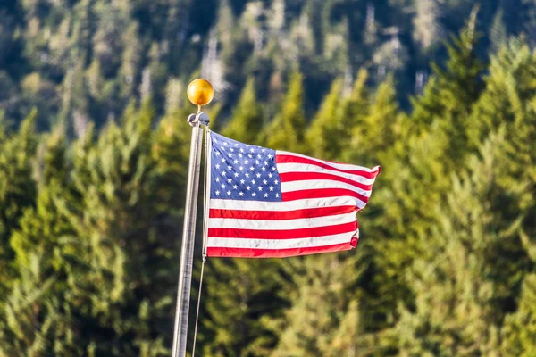 Ormanın arka planında ABD bayrağı sallanıyor. Amerikan sembolü. — Stok fotoğraf