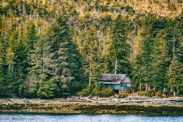 Casa abbandonata nella foresta selvaggia - Alaska paesaggio sfondo. — Foto Stock