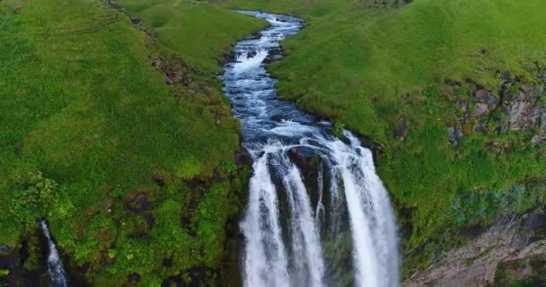 Légi felvétel a Seljalandsfoss vízesésről Izlandon izlandi természetben — Stock videók