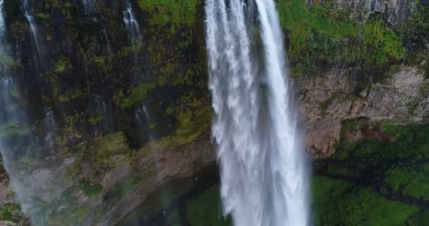 Drohnenaufnahmen vom Wasserfall Seljalandsfoss auf Island in isländischer Natur — Stockvideo