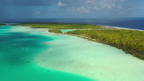 Polinésia Francesa Tahiti vista aérea da ilha do atol de Fakarava e da Lagoa Azul — Vídeo de Stock