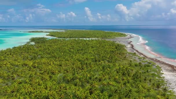 Vídeo aéreo da Polinésia Francesa Tahiti Fakarava atol ilha e Lagoa Azul — Vídeo de Stock