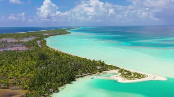 Drone vídeo de Fakarava atol ilha motu e na Polinésia Francesa Taiti — Vídeo de Stock