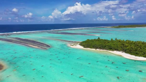 Fransız Polinezyası Tahiti 'deki Rangiroa mercan adasının insansız hava aracı videosu. — Stok video
