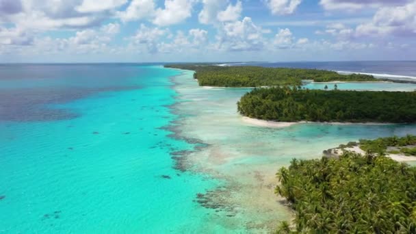 Fransız Polinezyası Tahiti 'deki Rangiroa mercan adasının insansız hava aracı videosu. — Stok video