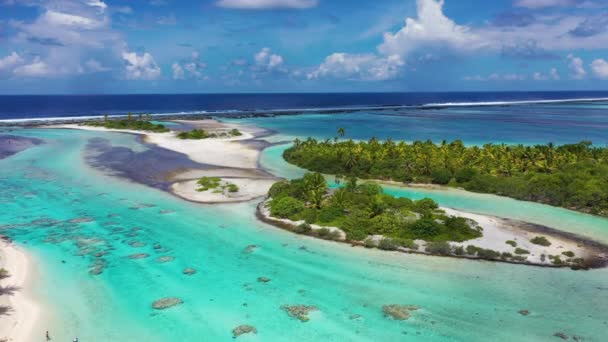 Rangiroa Luftbild des Atoll Island Reef Motu in Französisch-Polynesien Tahiti — Stockvideo