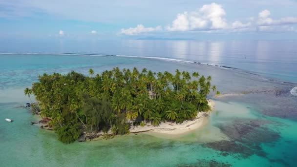 トロピカルアイランドパラダイス-フランス領ポリネシア,タヒチ島の空中ドローンビデオ — ストック動画