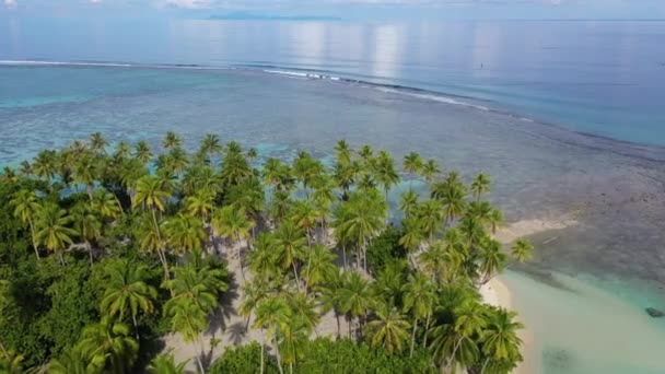 Tropik ada cenneti - Fransız Polinezyası, Tahiti 'den insansız hava aracı videosu — Stok video