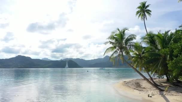 Tropical island paradise palm tree beach video from French Polynesia, Tahiti — Stock Video