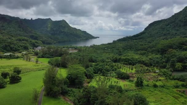 Moorea, Fransız Polinezyası, Tahiti 'deki Opunohu Körfezi insansız hava aracı görüntüsü — Stok video