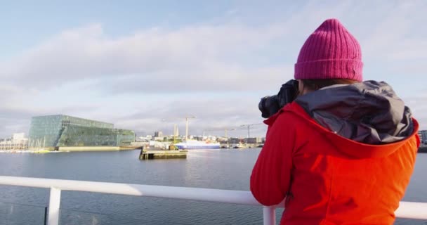 Reykjavik 'te liman gezisi ve balina izleme gezisinde olan İzlandalı turist fotoğrafçısı — Stok video
