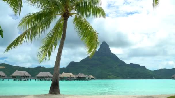 Tropical vacation paradise island overwater bungalows hotel resort on Bora Bora — Stok Video