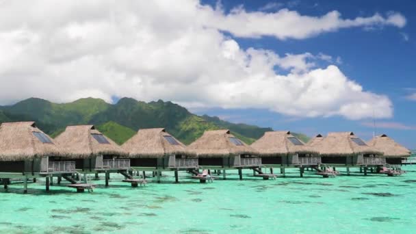 Travel vacation paradise with overwater bungalow resort hotel in coral reef sea — Stock Video