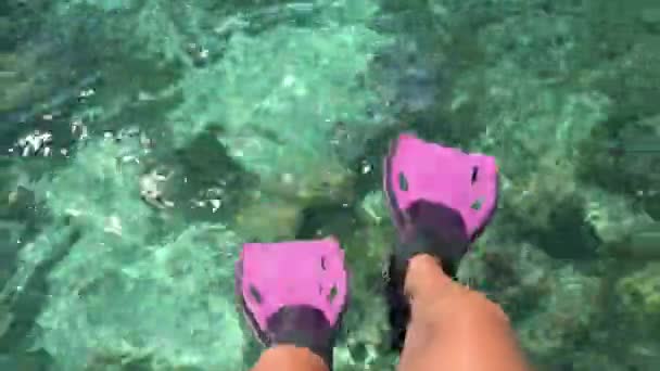 Viajes vacaciones playa concepto Snorkel pies snorkeler divertirse con aletas rosadas — Vídeo de stock