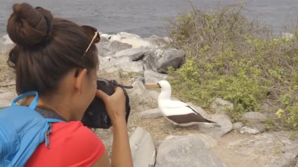 Galápagos turista tirar fotos de Nazca Booby na ilha Espanola — Vídeo de Stock